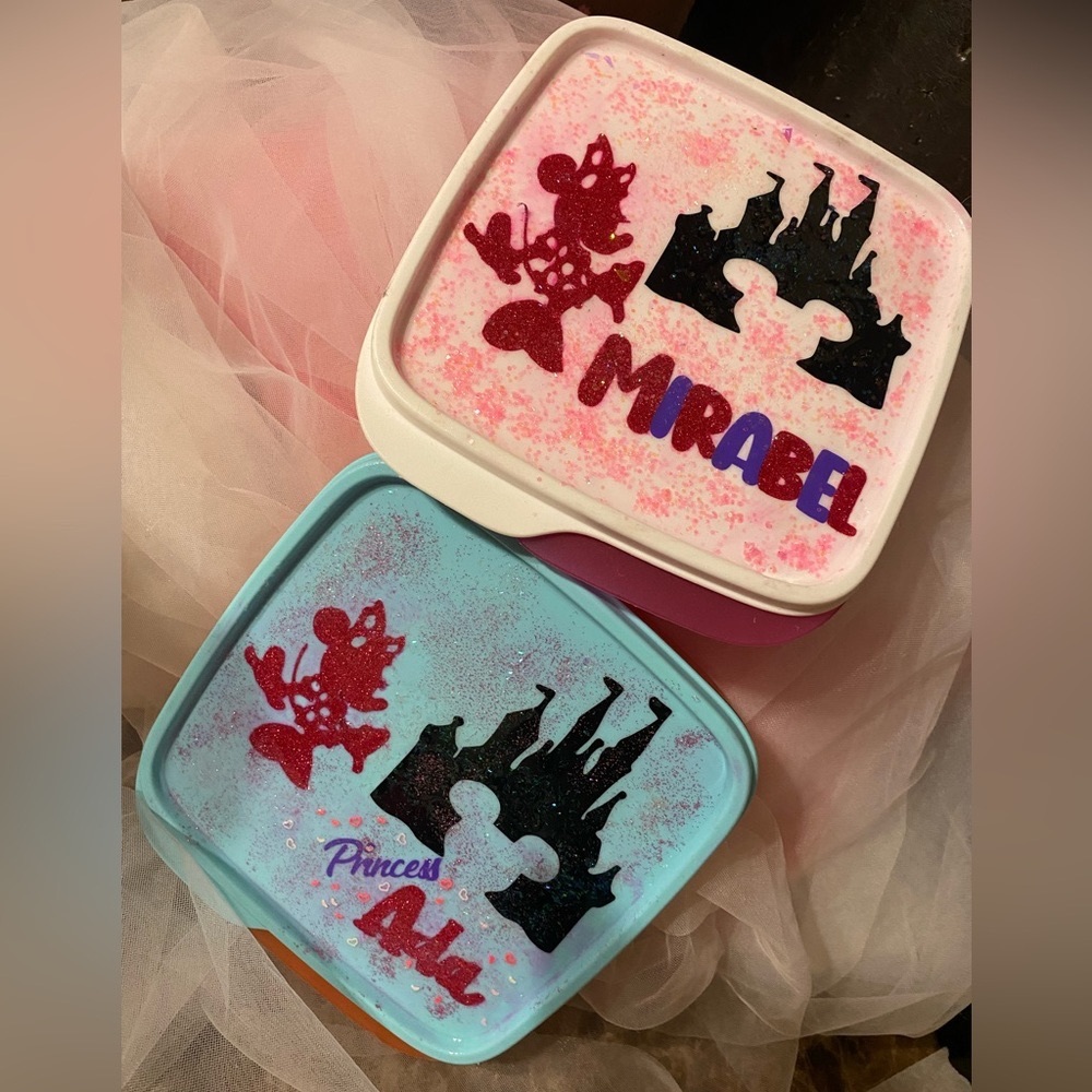 Back to school/Daycare homeMade Lunch Containers